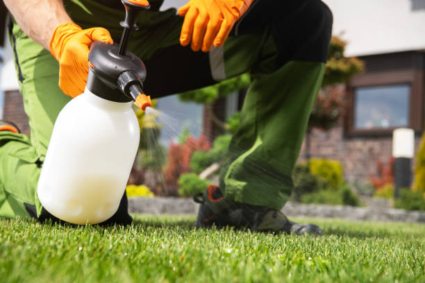 Best Flea Control Services  in Star Valley, AZ