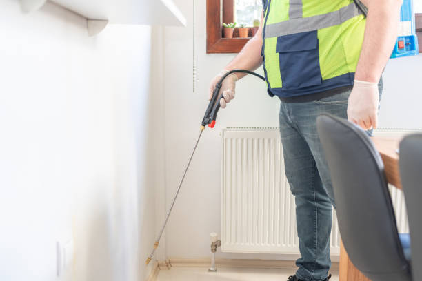 Best Rat Extermination Near Me  in Star Valley, AZ